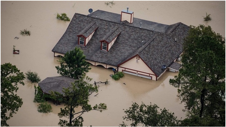 Flooded House Creating Cards